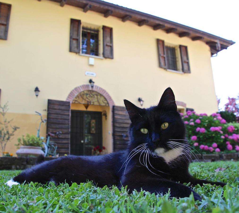 Casale La Decima Bed & Breakfast Budrio  Dış mekan fotoğraf